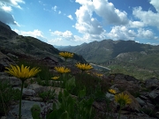 Camminata panoramica ad anello al PASSO DI GRABIASCA, sul MONTE RESEDA e per passi e laghi della conca del Calvi il 26 luglio 2012 - FOTOGALLERY